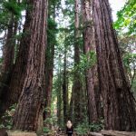 开云体育彩金的优势与风险,玩家必知的注意事项 2h9hqxpp