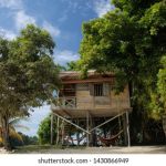 安博体育入口的优势解析:为何成为体育爱好者的首选网站 769kk