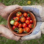 如何顺利完成ag九游登录官网娱乐的注册与登录流程 8md968cq