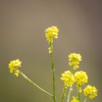 如何顺利完成意昂3注册步骤与注意事项解析 i924z2