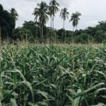 必赢国际bwin的安全性分析:如何保障玩家的资金与信息安全? kzf9jh