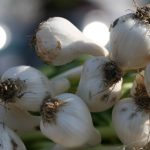 如何通过博体育提升你的运动技能与知识 oiuv3